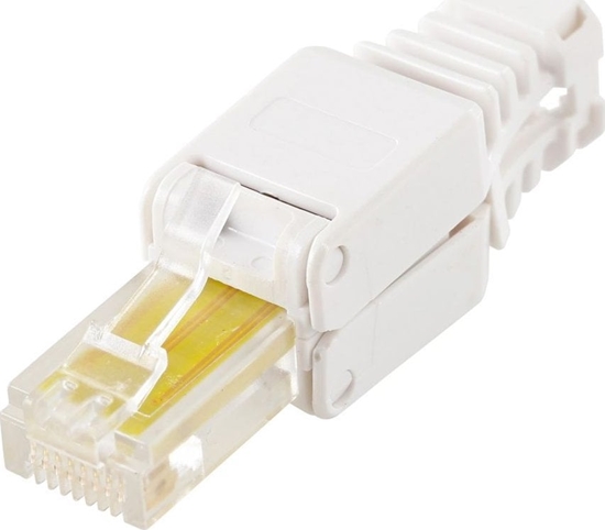 Picture of LOGON TWP8P8TP wtyczka RJ-45 Przezroczysty, Biay, óty