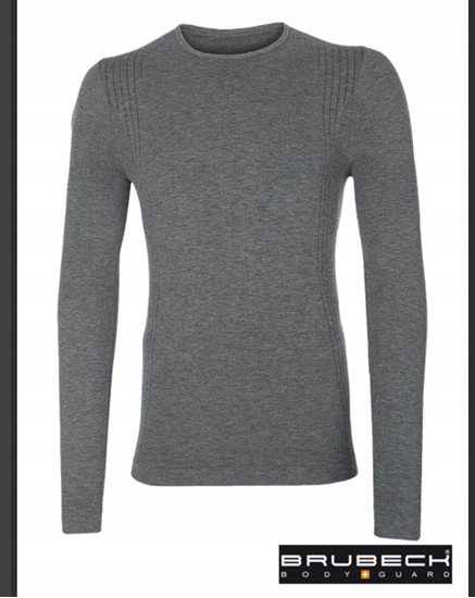 Picture of LS1178U Bluza PROTECT FR/AS szary L