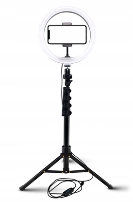 Изображение Mackie MRING-10 - Piercie LED