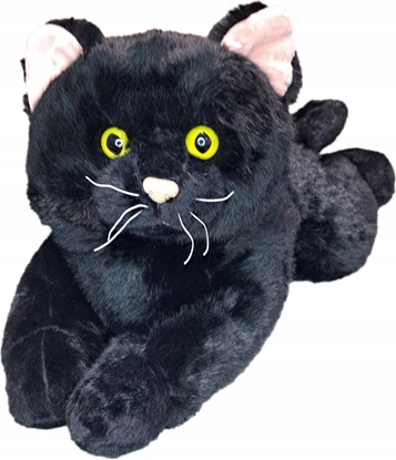 Picture of Madej Kot lecy 55cm czarny 010789 73494