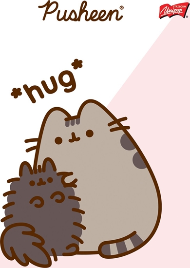 Picture of MAJEWSKI Zeszyt A5 32k linia podwójna dwukolorowa laminowany Pusheen p15 mix cena za 1 szt