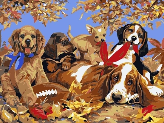 Picture of Malowanie po numerach - 30x40cm Psy