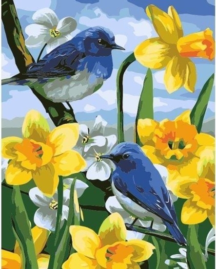 Picture of Malowanie po numerach - 40x50cm Ptaszki na onkila