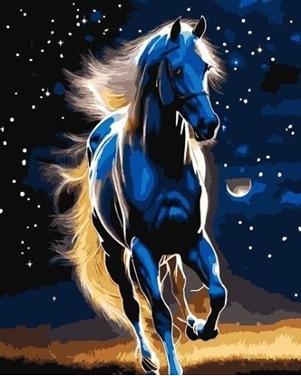 Picture of Malowanie po numerach - Dumny ko 40x50cm