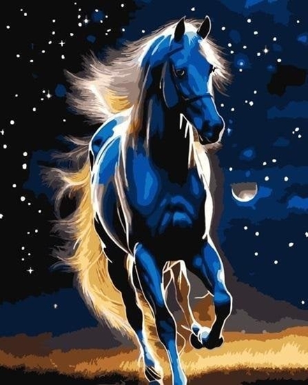 Picture of Malowanie po numerach - Dumny ko 40x50cm