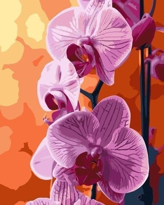 Picture of Malowanie po numerach - Orchidea 40x50cm