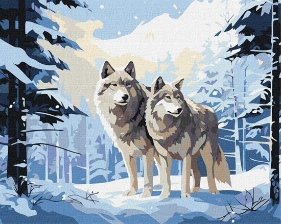 Изображение Malowanie po numerach - Powicenie 40x50cm