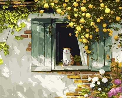 Picture of Koh I Noor Malowanie po numerach 40x50 Kot