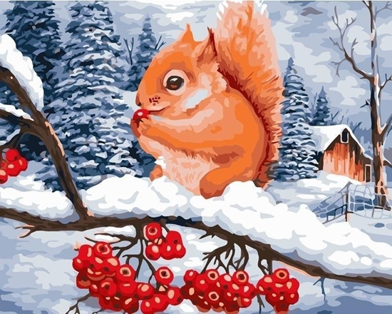 Picture of Malowanie po numerach 40x50 Wiewiórka