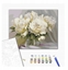Picture of Malowanie po numerach BRUSHME, 40x50 cm, wymienita delikatno piwonii, 1 szt., w pudeku