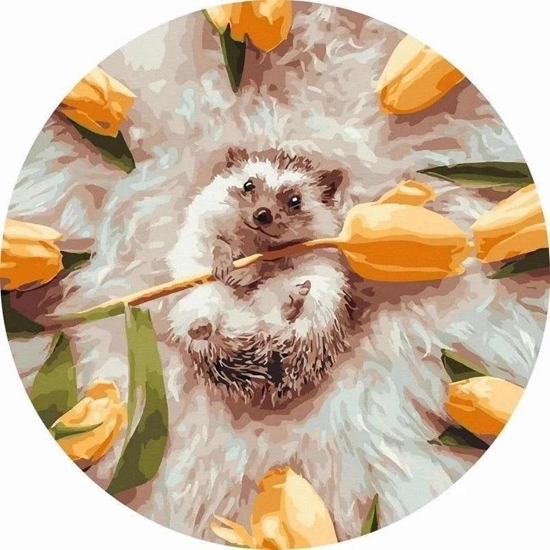 Picture of Malowanie po numerach okrge - Je w kwiatach 40