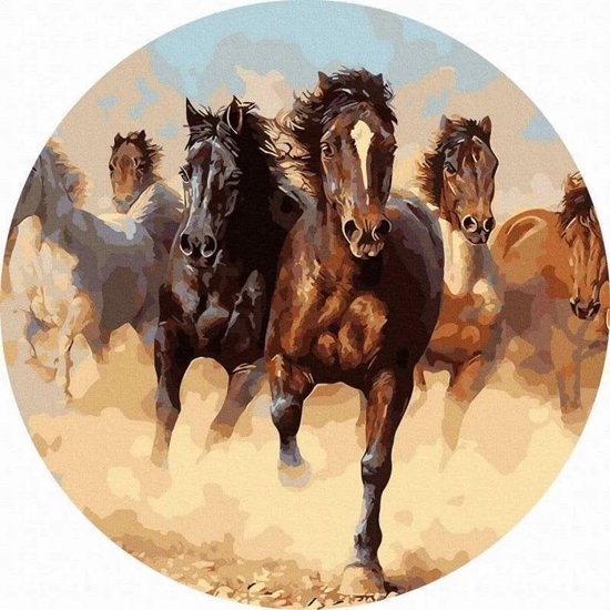 Picture of Malowanie po numerach okrge - Stado koni 40cm