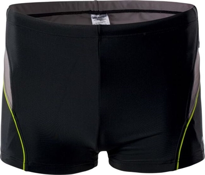 Picture of Martes BORIN