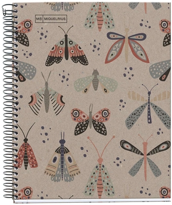 Picture of MAUL A611199 notatnik A5 80 ark. Wielobarwny