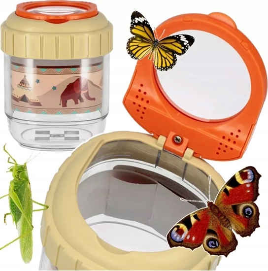 Picture of Mega Creative ZEST NAUKOWCA POJEMNIK NA OWAD 8X10 MC DISP6/144