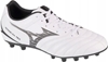 Picture of Mizuno Mizuno Monarcida Neo III Select AG P1GA242609 biae 45