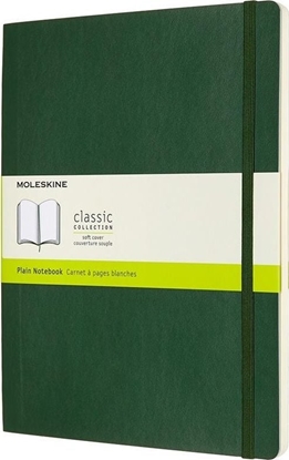 Picture of Moleskine Notes 19x25 gadki myrtle green