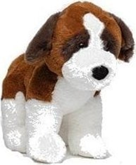 Picture of Molli Toys Pies bernardyn 30 cm