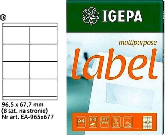 Picture of Mondi ETYKIETY A4 IGEPA 96.5 X 67.7 MM BIAE (100)