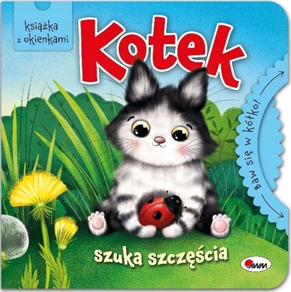 Picture of Morex Baw si w kóko Kotek szuka szczcia 13549