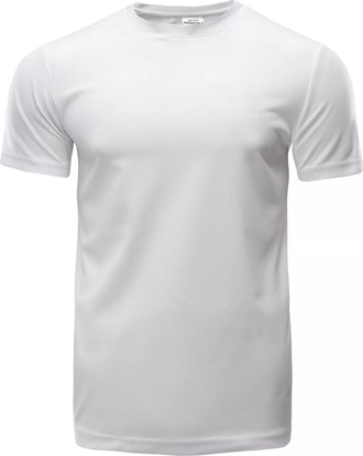 Picture of Mska Koszulka z krótkim rkawem DILLION