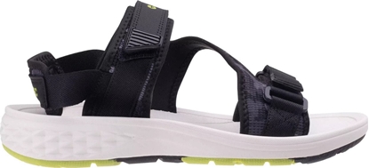 Picture of Mskie Sanday TOCEL