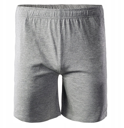 Picture of Mskie Spodenki MOEN