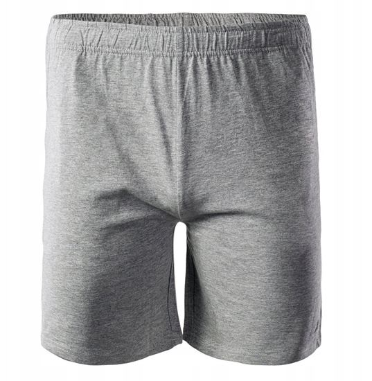 Picture of Mskie Spodenki MOEN