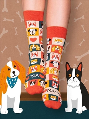 Attēls no Nadwyraz.com Skarpety dugie Psia mama 35-38