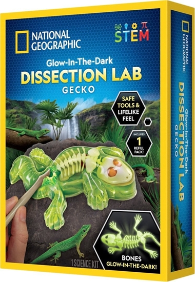 Picture of National Geographic National Geographic Gecko Dissection Lab