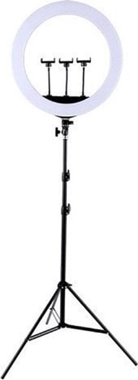 Изображение Nawietlacz Extra Digital LED iedin lempa 45cm, su trikoju stovu iki 2.1m