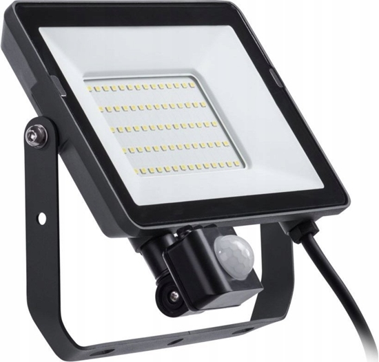 Picture of Nawietlacz Philips FLOODLIHGT 30W 4000K 2850LM IP65 PIR