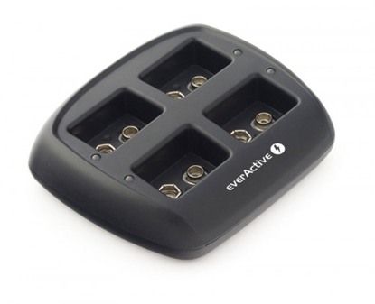 Attēls no NC-109 lādētāji everActive NC-109 iepakojumā 1 gb.