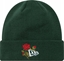 Picture of New Era New Era Rose Icon Cuff Knit Beanie Hat 60580736 Zielone OSFM