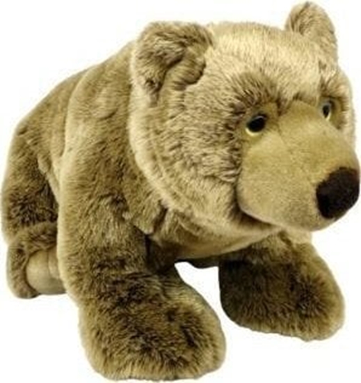 Picture of Niedwied siedzcy 62cm