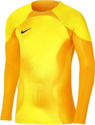 Picture of Nike Bluza Nike Gardien IV Goalkeeper JSY DH7967 719