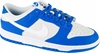 Picture of Nike Dunk Low FN3416-001 szary 44