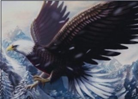 Picture of Norimpex *****Diamentowa mozaika orze 1004948 49483