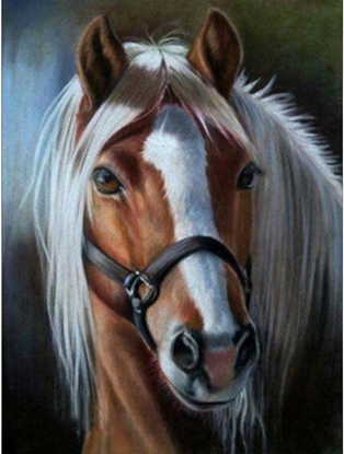 Picture of Norimpex Diamentowa mozaika - Ko z jasn grzyw