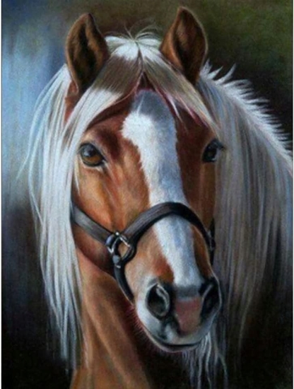 Picture of Norimpex Diamentowa mozaika - Ko z jasn grzyw