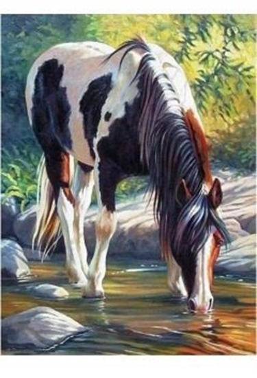 Picture of Norimpex Diamentowa mozaika Ko pijcy ze strumienia 30x40cm 2000382