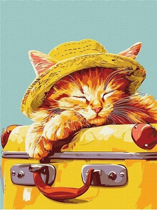 Изображение Norimpex Malowanie po numerach - ¦pi±cy kotek 30x40cm