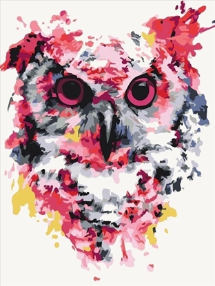 Picture of Norimpex Malowanie po numerach - Sowa w kolorach