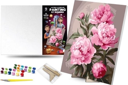 Picture of Obraz Malowanie po numerach Farby Na Ramie Kwiaty