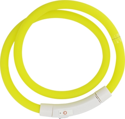 Picture of OCanis Active Canis USB LED Pet Collar yellow