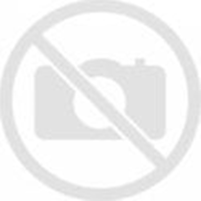 Picture of Odkurzacz pionowy Vileda PureClean S5 Plus