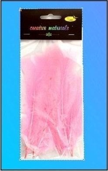 Изображение Party Deco Piórka mikkie jasnoróowe 15szt