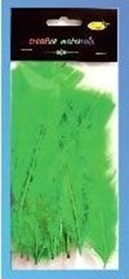 Изображение Party Deco Piórka mikkie jasnozielone 15szt