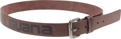 Picture of Pasek OAKEN