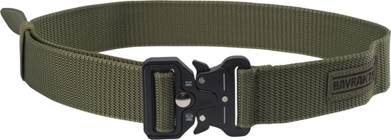 Picture of Pasek Weimer  rozmiar S/M